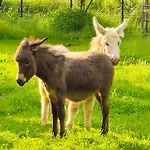 Thum'scher Hof Ortenberg (Hessen)